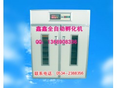 小雞孵化機(jī)www.xinxinfuhua.com鑫鑫微型孵化機(jī)-- 山東鑫鑫孵化設(shè)備廠(chǎng)