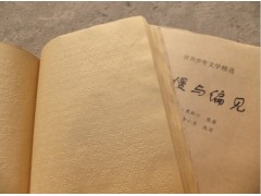 專業(yè)盲人電子閱覽室建設(shè)-- 卓雅文化