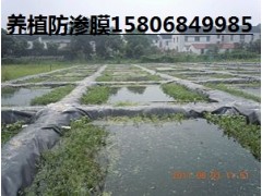 德州養(yǎng)殖黑色防滲膜公司推薦陵縣華龍化纖-- 陵縣華龍化纖有限公司
