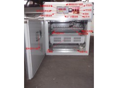 264枚孵化機(jī) 全自動(dòng)孵化機(jī)-- 德州市德城區(qū)富民孵化設(shè)備研制中心
