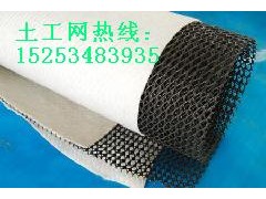 德州哪里的鐵路隧道用三維復(fù)合排水網(wǎng)價(jià)格便宜？-- 陵縣華龍化纖有限公司