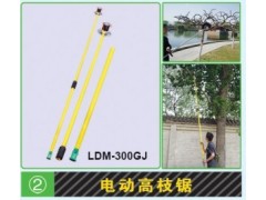 電動高枝鋸品牌石家莊綠華機械科技性價比最高-- 石家莊綠華機械科技有限公司