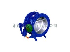 溫州哪里的HH47X蝶式緩沖止回閥價(jià)格便宜？-- 永嘉縣永華閥門(mén)有限公司