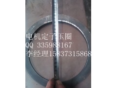 電機(jī)定子壓圈-電機(jī)定子壓圈廠家-選新鄉(xiāng)東風(fēng)機(jī)械-- 新鄉(xiāng)市東風(fēng)機(jī)械制造有限公司