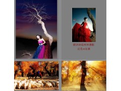 額濟納胡楊林戶外旅游攝影團,露營篝火?？妥顚I-- 安徽海客拓展培訓服務有限公司