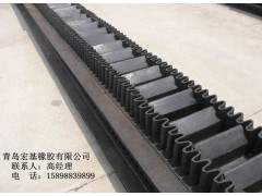 青島擋邊帶斗提機(jī)輸送帶大傾角擋邊帶-- 青島宏基橡膠有限公司