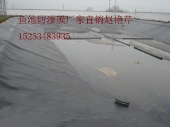 德州復(fù)合土工膜售后電話-- 陵縣華龍化纖有限公司