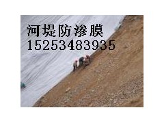 供應德州長絲復合膜15806849985-- 陵縣華龍化纖有限公司