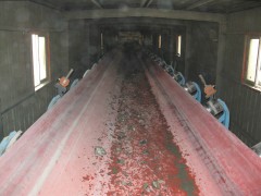 青島 鋼絲皮帶 質(zhì)量哪里好，首選青島宏基橡膠皮帶-- 青島宏基橡膠有限公司
