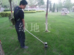石家莊哪里有做電動割草機,價格多少?-- 石家莊綠華機械科技有限公司