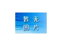 自力式溫度調(diào)節(jié)閥-- 富陽富春江閥門廠