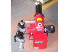 TG系列中小型雙段（全自動大/小火控制）燃氣燃燒（機）器-- 鄭州中威環保設備有限公司