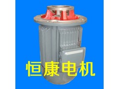 廠家提供油泵電機(jī) CB-B齒輪泵配套液壓電機(jī)-- 江蘇恒康機(jī)電有限公司