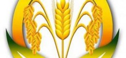 2019第十九屆中國(guó)北京大米雜糧博覽會(huì)