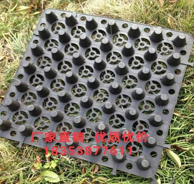 撫順25高蓄排水板+車庫(kù)透水板=泰安澤瑞-- 泰安市澤瑞蓄排水土工材料有限公司