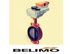 搏力謀閥門電動蝶閥BU6